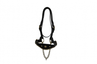 English Traditional Halter -  image 1